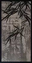 竹木洩れ陽