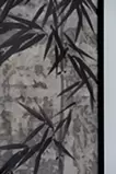 竹木洩れ陽