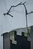 旋轉