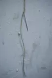 旋轉