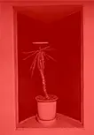 ruins  REDRUM film     KAIKA TOKYO limited edition 