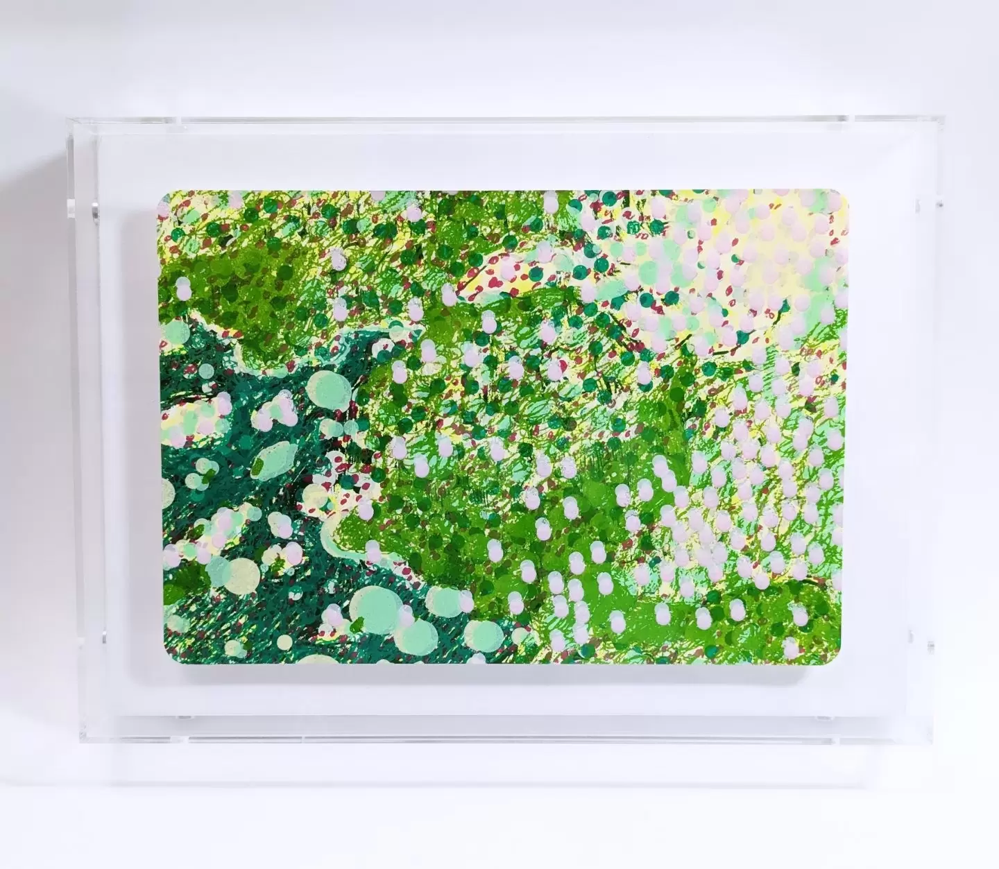 Garden of Light