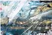 Flutter -水面花-