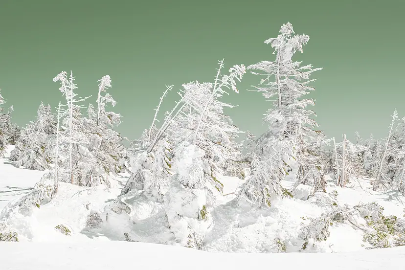 Snowscape（1/ed10+AP1） by 遠藤文香