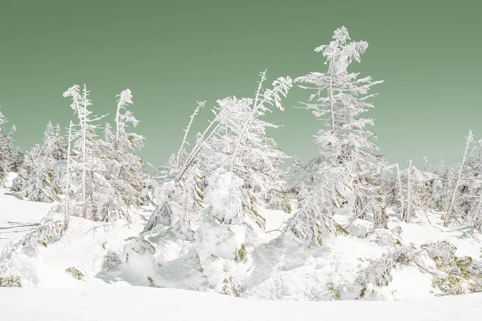 Snowscape(1/ed10+AP1)