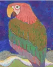Parrot