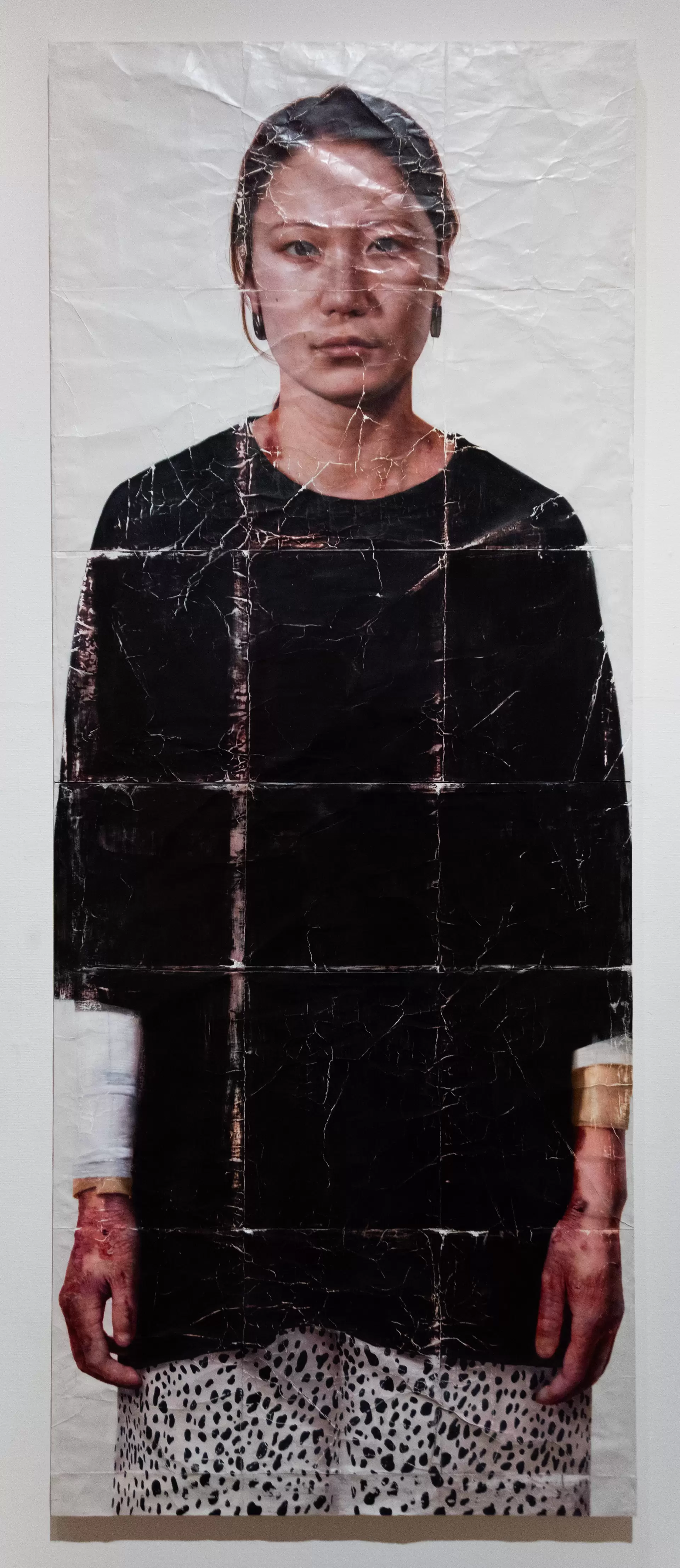 document/skin