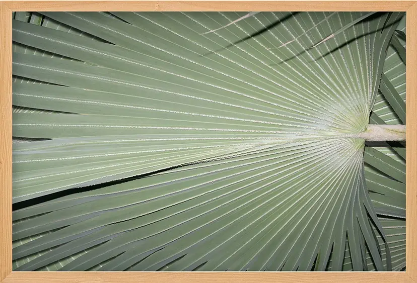Veins of a Leaf（3/ed10+AP1） by 遠藤文香