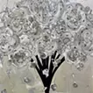 Abstract Bouquet 260219 (Aurora x Silver)