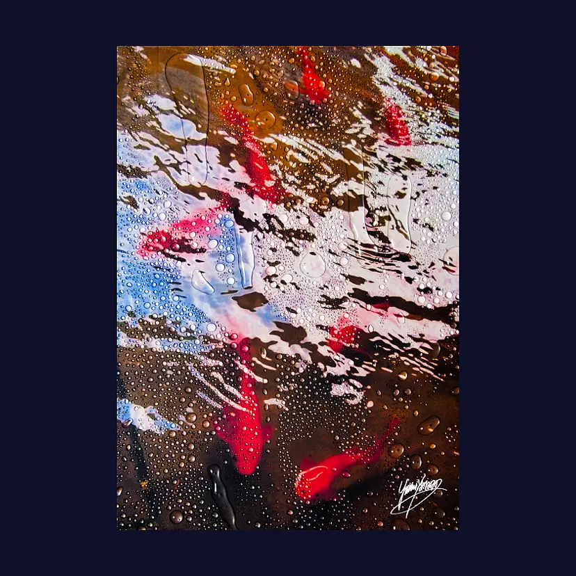 Gift from the Living Creatures #1 by 山田夕香琳
