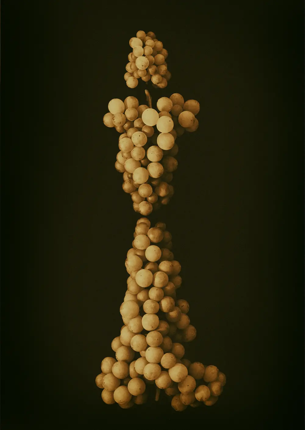 Portrait of fruits 'Dressed grapes'