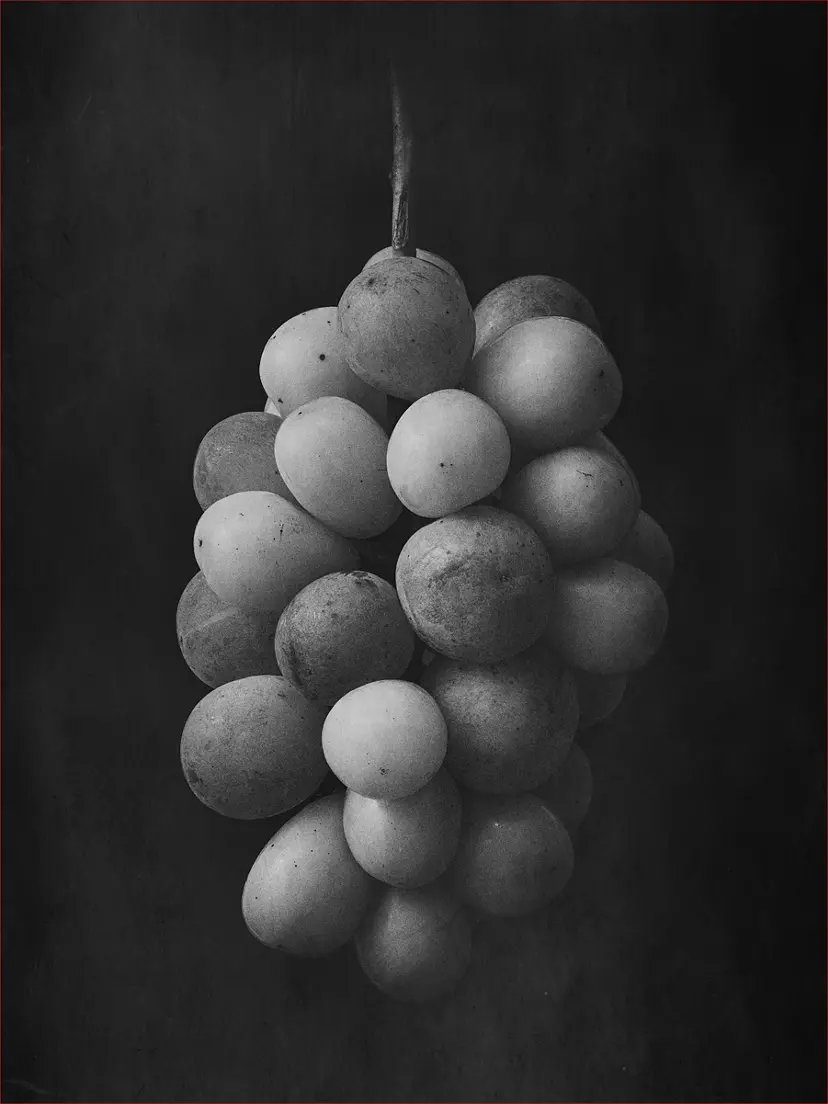 The world is delicious if there are various tastes by Masumi Shiohara