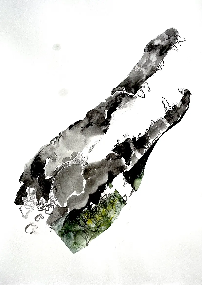 crocodile by 27wtc