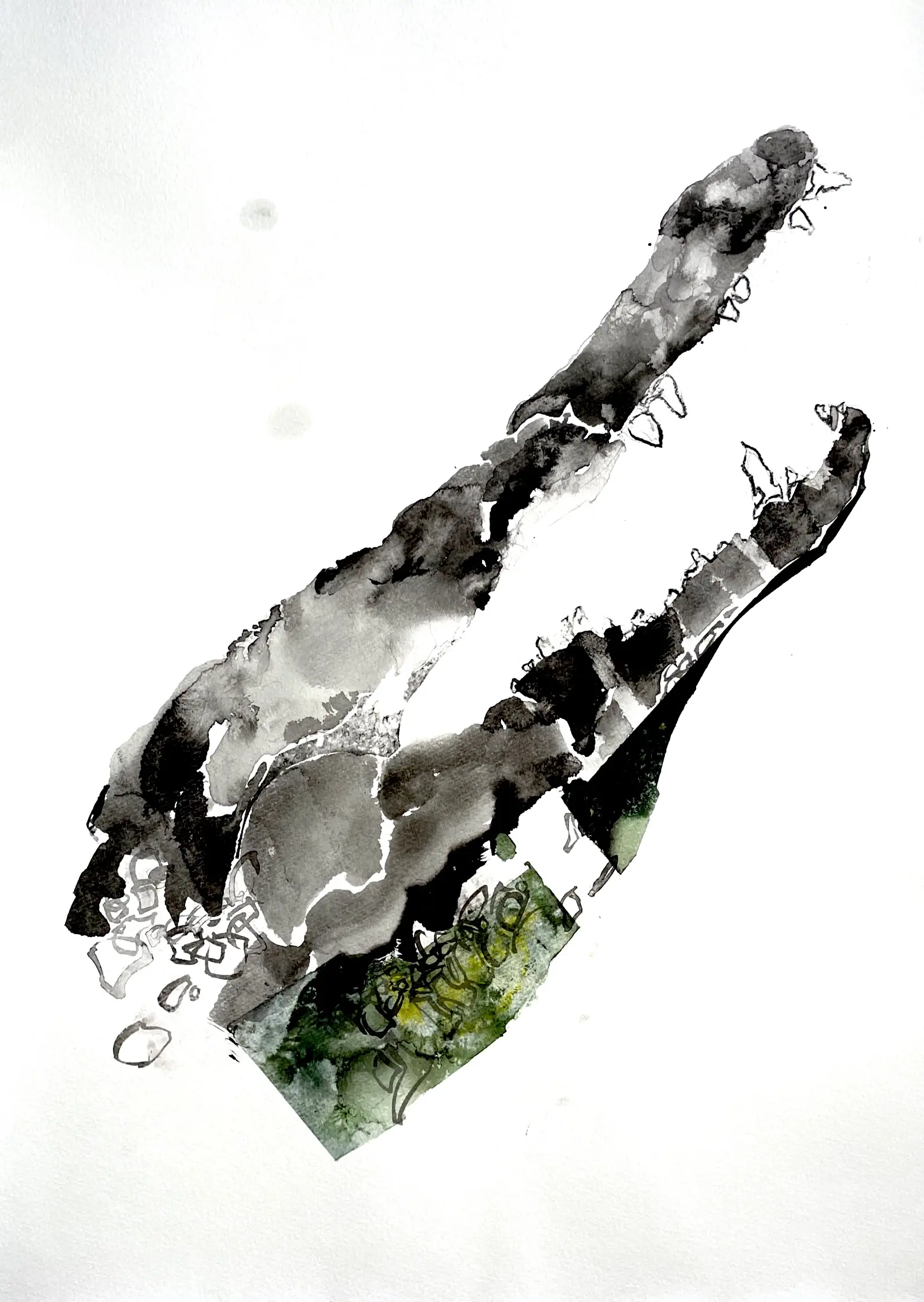 crocodile