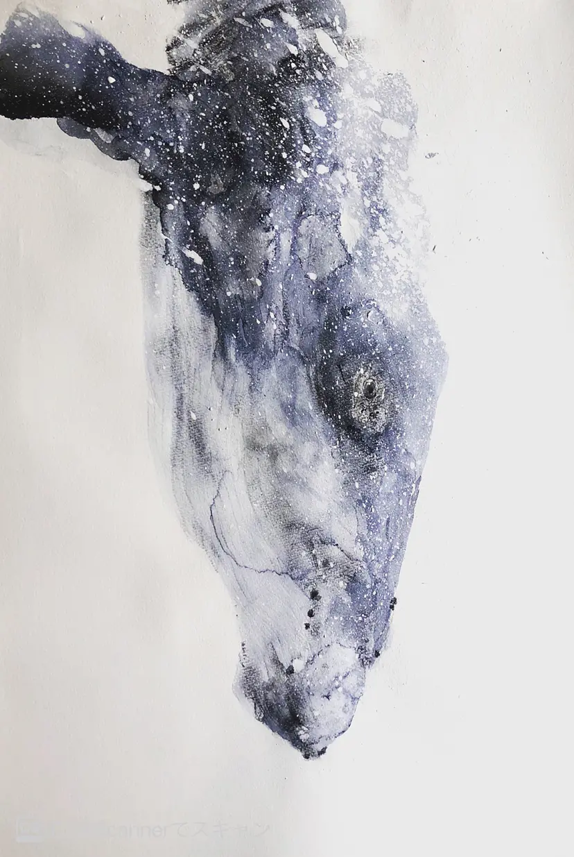 whale by 27wtc