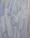 Fossilized sea