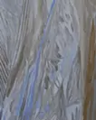 Fossilized sea
