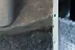 忍び