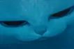 海のきおく