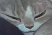 午後の昼寝