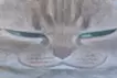 のりかえ