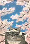 さくら