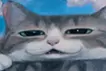 さくら
