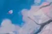さくら