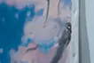 さくら