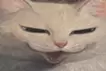 おかえりにっぽり