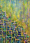Night dividing