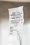 記録された日々:粘土