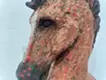 Determination to take a leap forward -horse-