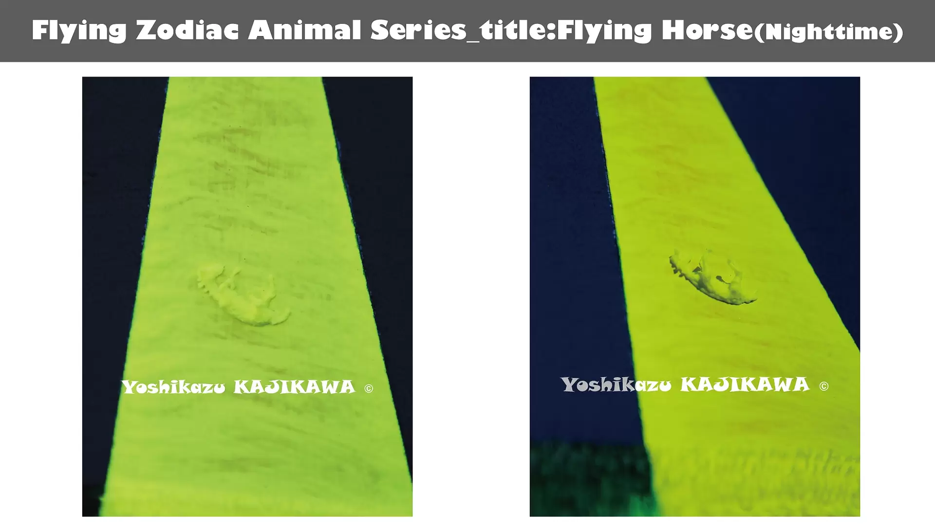 🛸 飛馬 🐎（夜間）_ 🛸 飛行十二生肖動物系列 🐀🐃🐅🐇🐉🐍 🐎