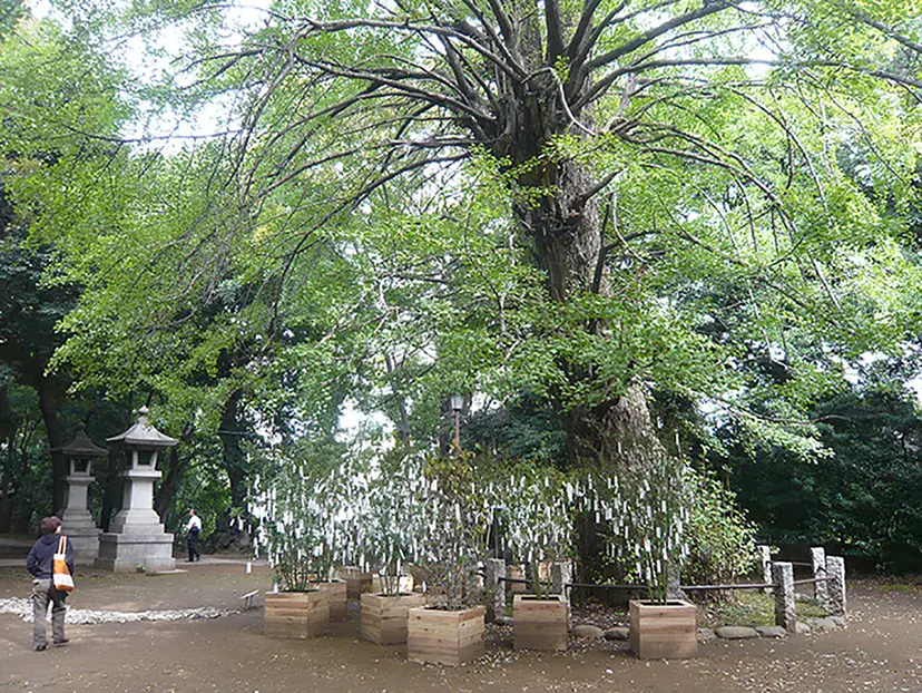Wish Tree by オノ・ヨーコ