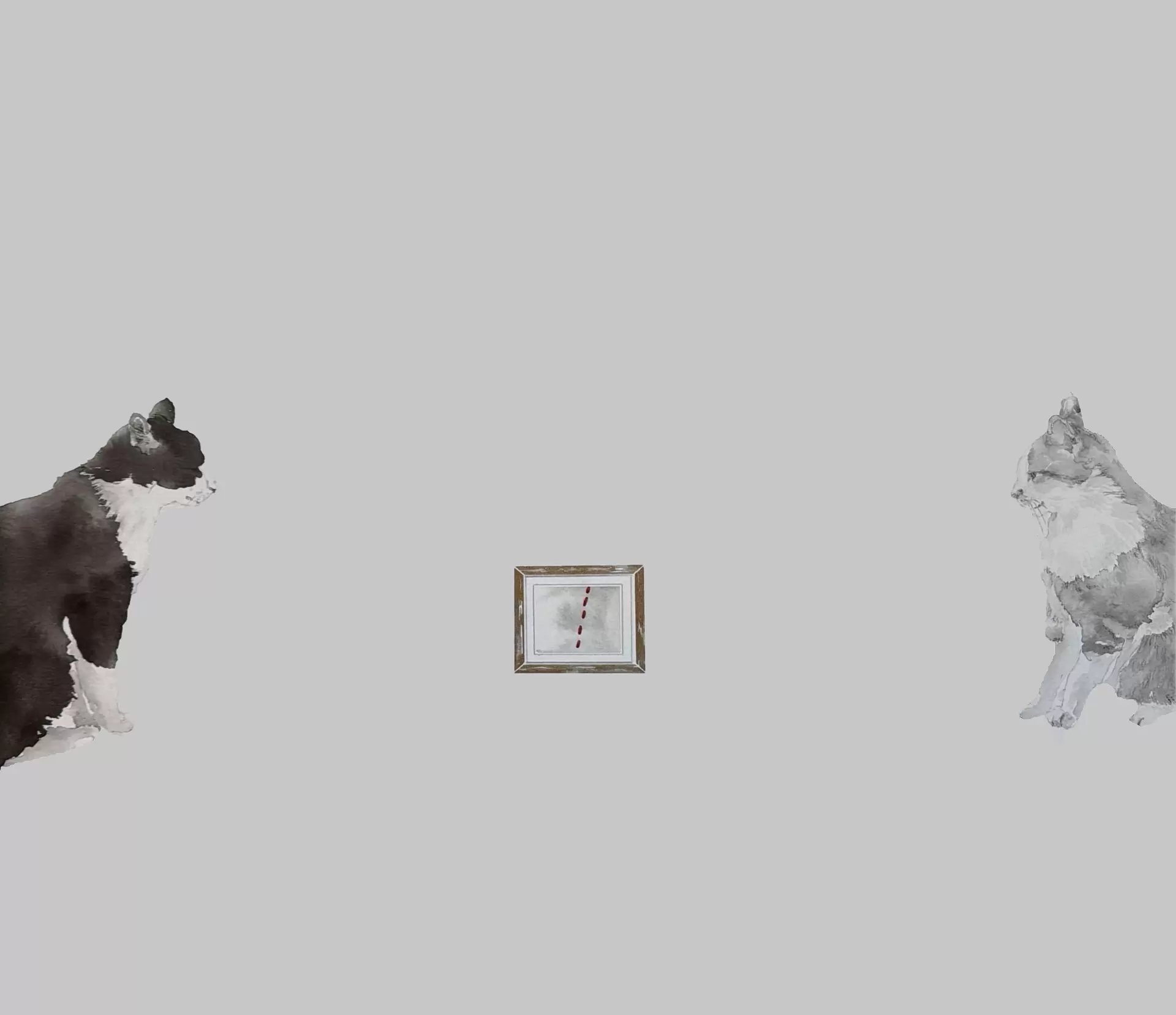 猫 告白