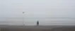 To The Fog