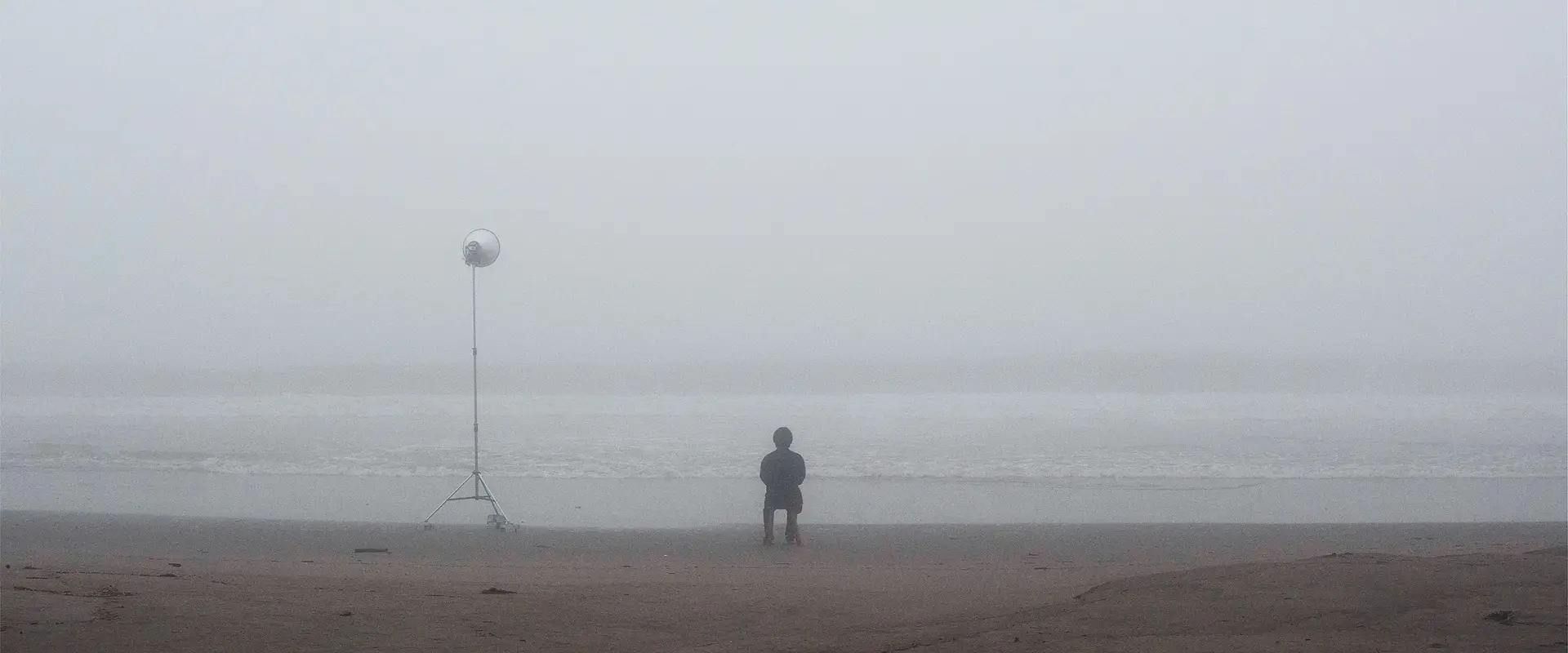 To The Fog