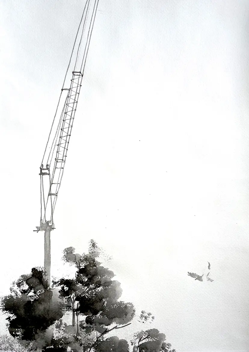 crane by 27wtc