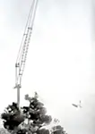 crane