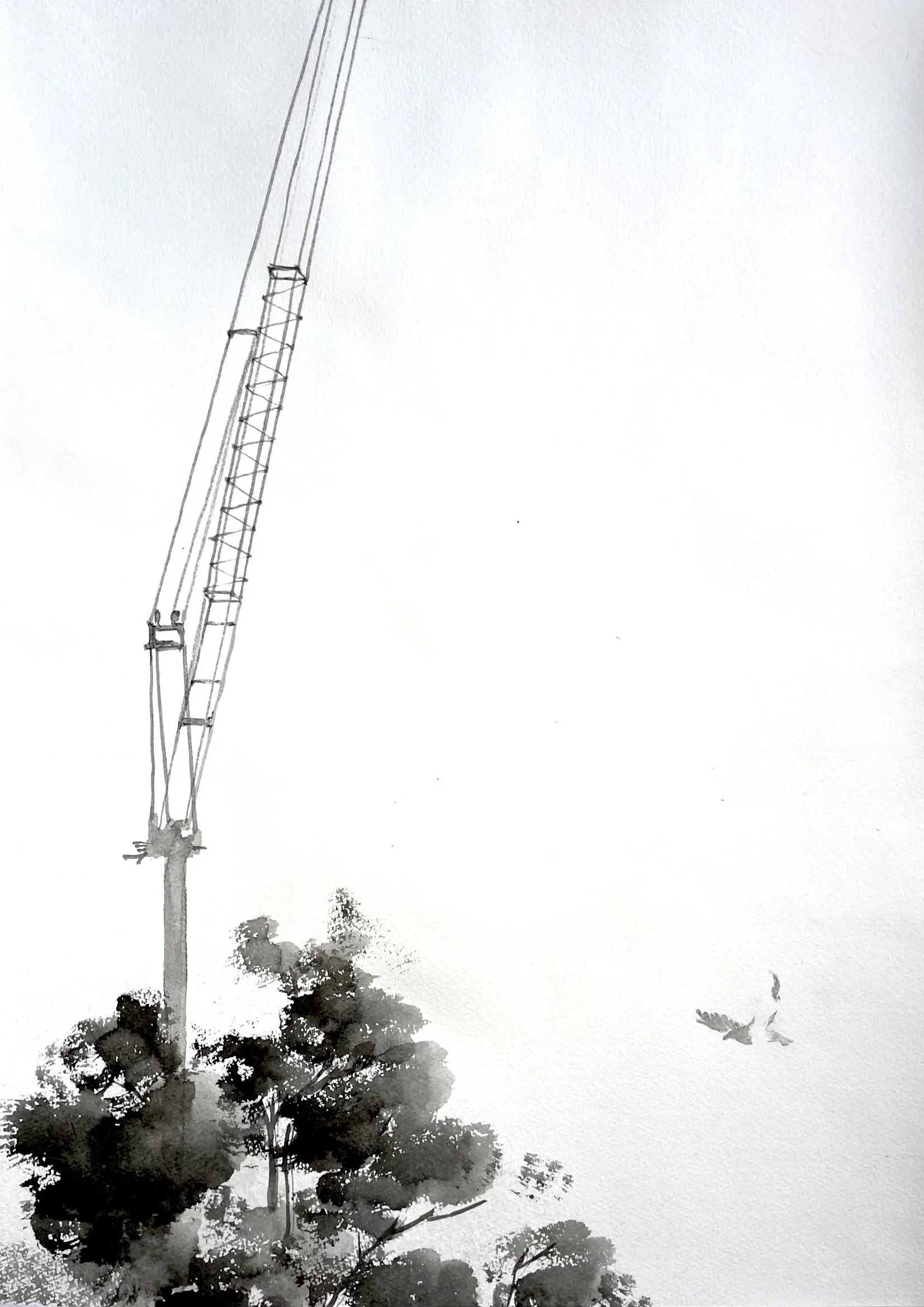 crane