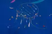 スクリャービン24の前奏曲