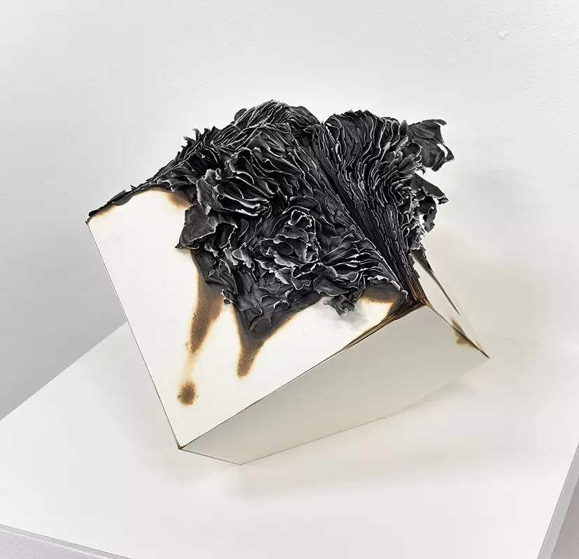 trans (cube #12) by 田中 真吾
