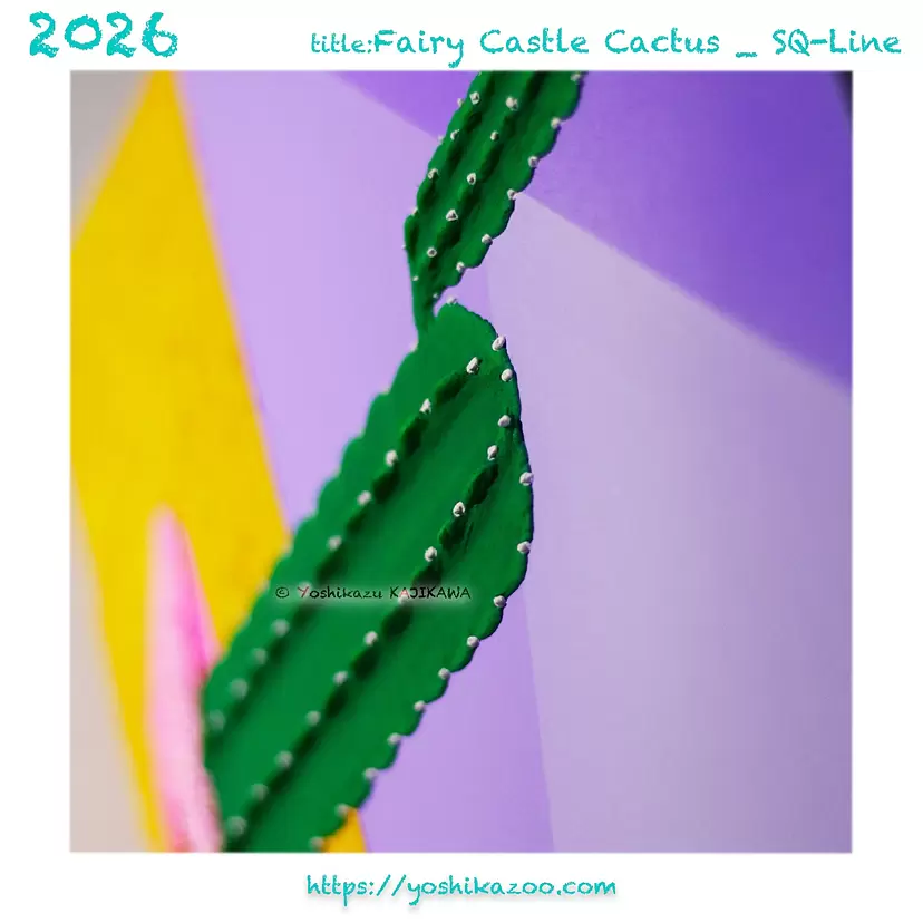 Fairy Castle Cactus _ SQ-Line by 梶川能一