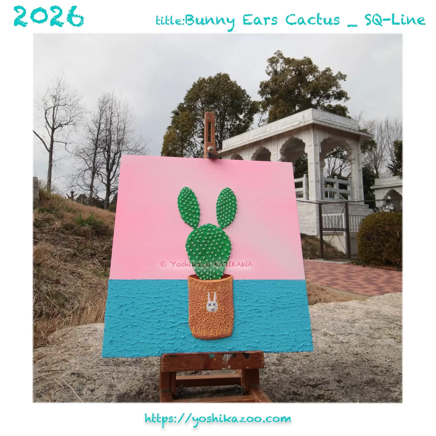Bunny Ears Cactus