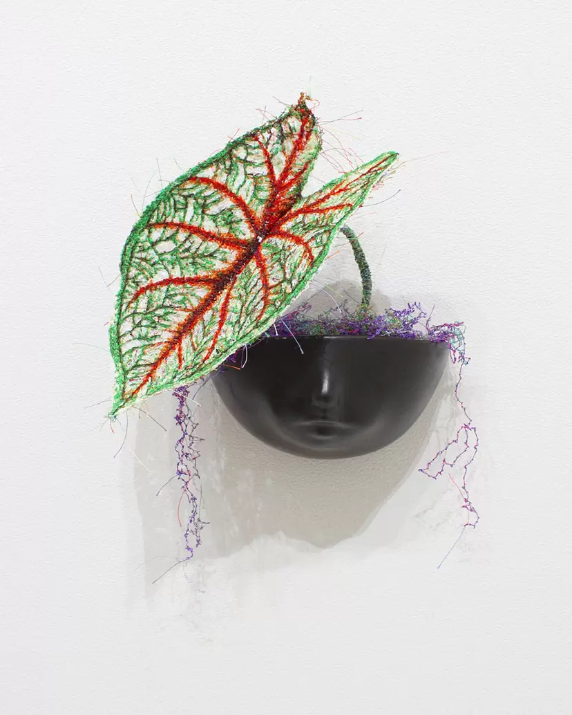 MIYATA Sayaka × MIKI Yoko Knots Caladium × Pot-baby by 宮田彩加