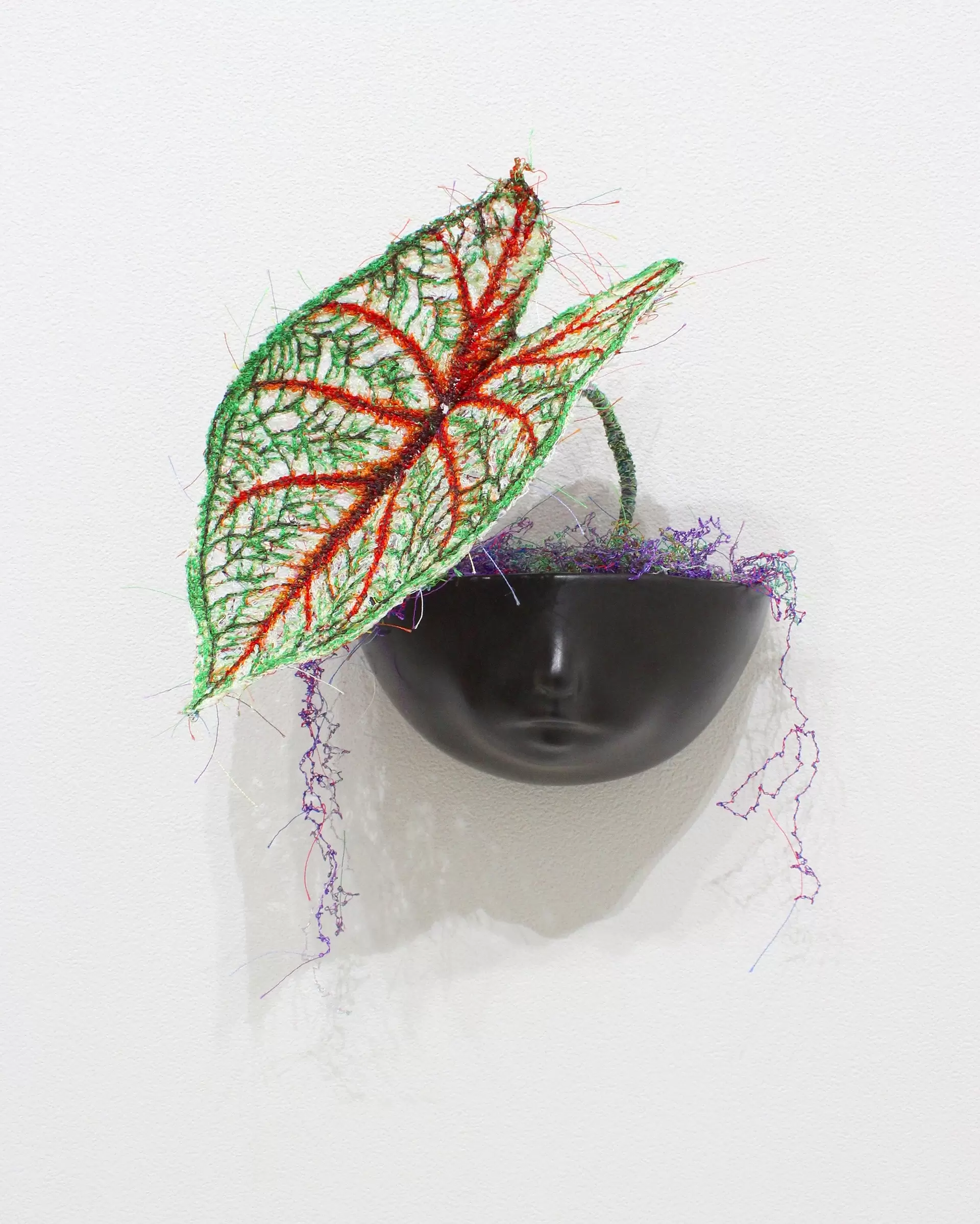 MIYATA Sayaka × MIKI Yoko Knots Caladium × Pot-baby 