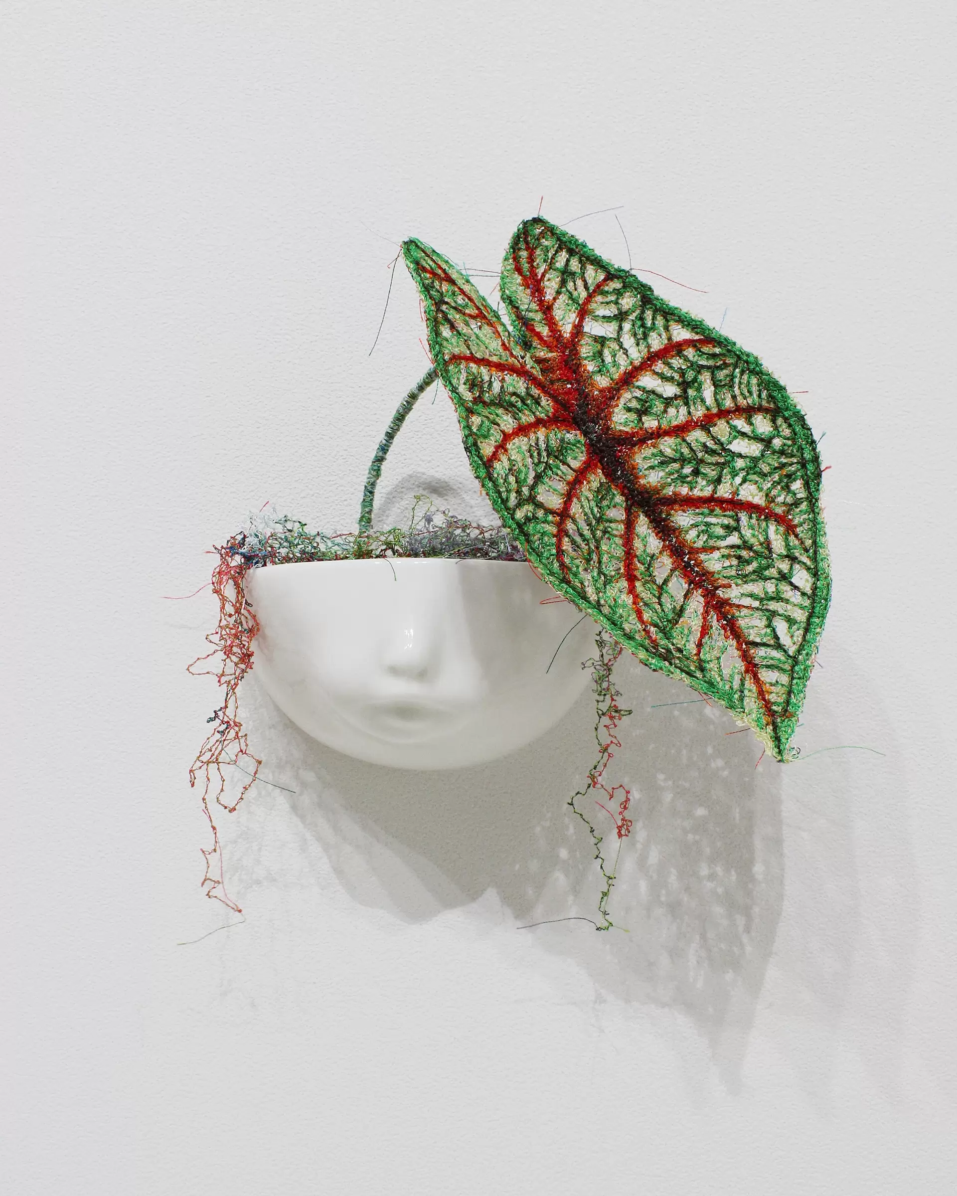 MIYATA Sayaka × MIKI Yoko Knots Caladium × Pot-baby by 宮田彩加