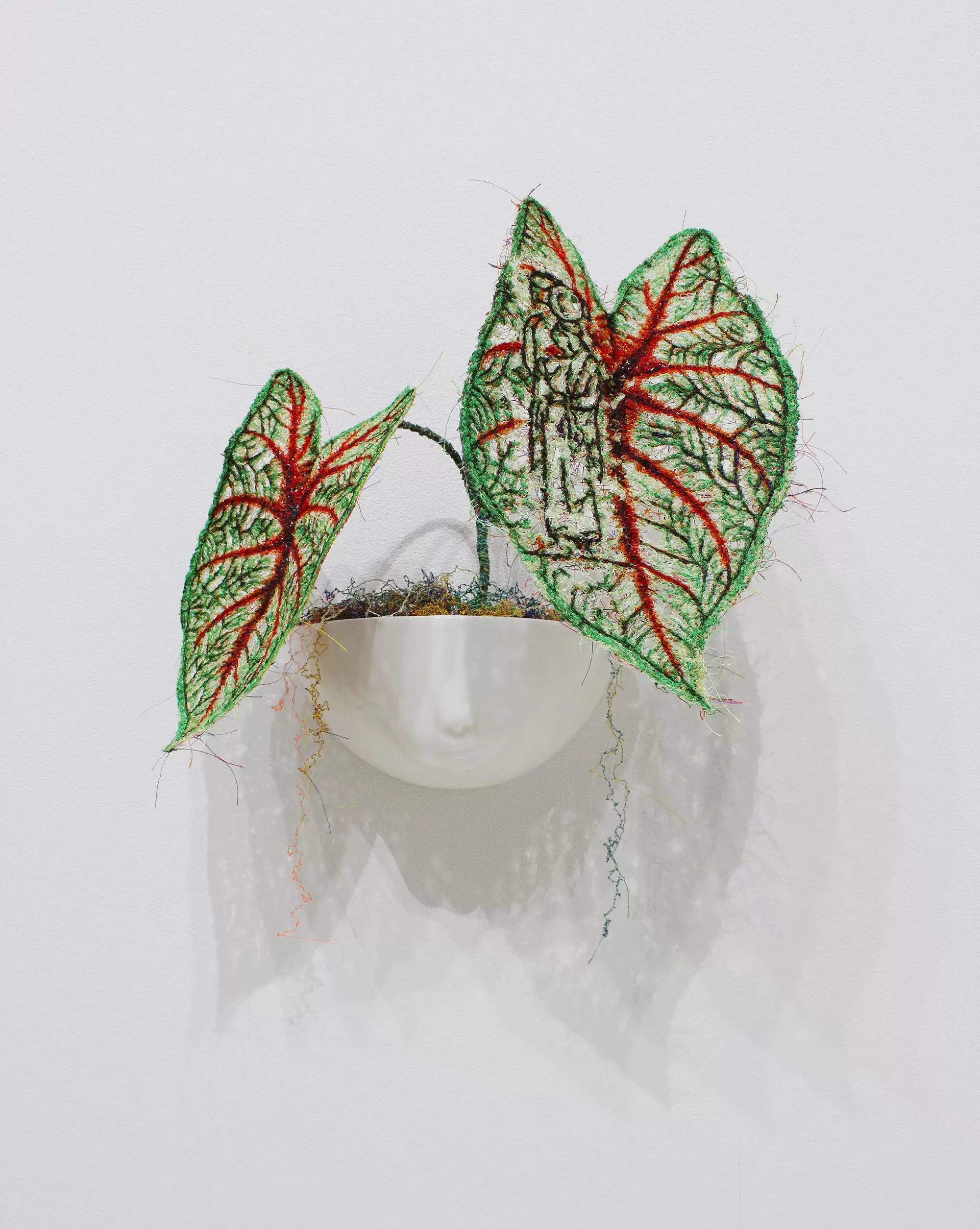 MIYATA Sayaka × MIKI Yoko Knots Caladium × Pot-baby 