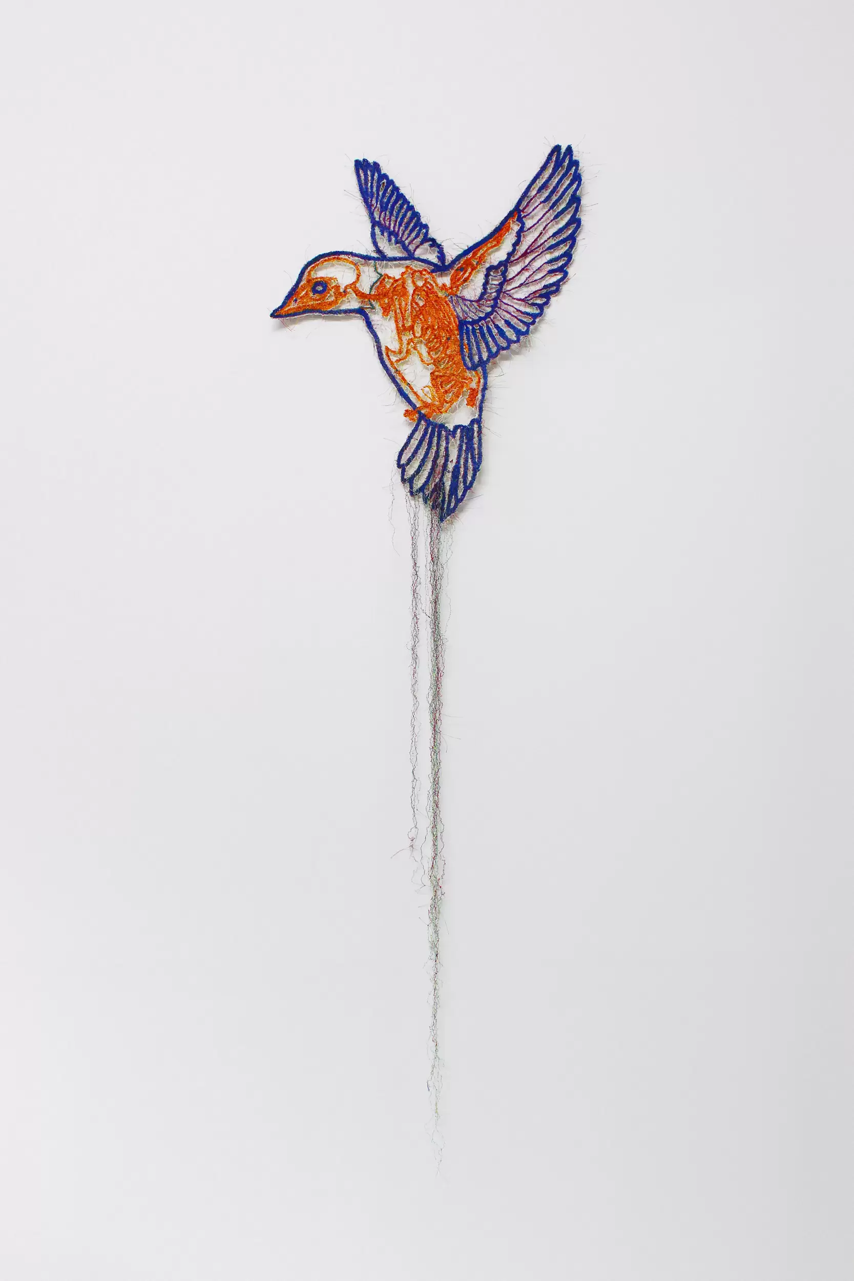 Knots −signal bird− 